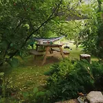 W Sztynorcie