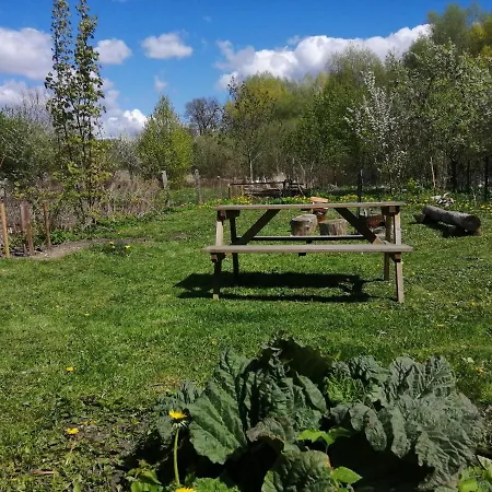 Nyaraló W Sztynorcie