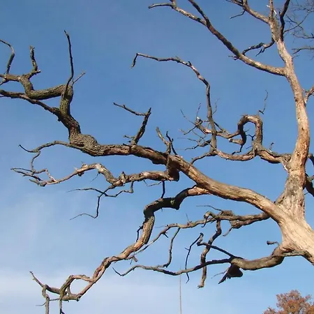 別荘 W Sztynorcie *